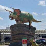 ヒメ日記 2025/04/15 15:58 投稿 イリス チューリップ福井本館