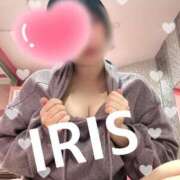 ヒメ日記 2025/04/27 19:04 投稿 イリス チューリップ福井本館