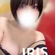 ヒメ日記 2025/04/29 18:04 投稿 イリス チューリップ福井本館