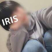 ヒメ日記 2025/04/30 07:44 投稿 イリス チューリップ福井本館