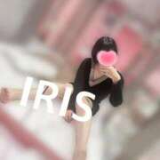 ヒメ日記 2025/04/30 14:05 投稿 イリス チューリップ福井本館