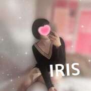 ヒメ日記 2025/04/30 18:23 投稿 イリス チューリップ福井本館