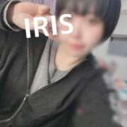 ヒメ日記 2025/05/01 07:56 投稿 イリス チューリップ福井本館