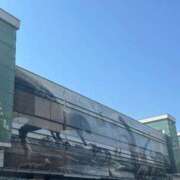 ヒメ日記 2025/05/01 09:24 投稿 イリス チューリップ福井本館