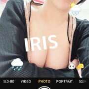 ヒメ日記 2025/05/01 12:36 投稿 イリス チューリップ福井本館