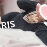 ヒメ日記 2025/05/01 16:34 投稿 イリス チューリップ福井本館