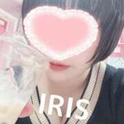 ヒメ日記 2025/05/02 14:04 投稿 イリス チューリップ福井本館