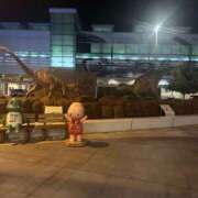 ヒメ日記 2025/05/03 09:44 投稿 イリス チューリップ福井本館