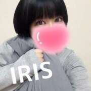 ヒメ日記 2025/05/15 17:04 投稿 イリス チューリップ福井本館