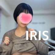 ヒメ日記 2025/05/20 17:24 投稿 イリス チューリップ福井本館