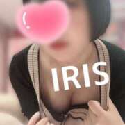 ヒメ日記 2025/06/13 09:36 投稿 イリス チューリップ福井本館