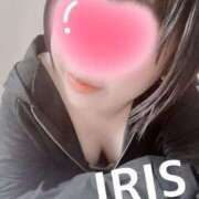 ヒメ日記 2025/06/26 18:09 投稿 イリス チューリップ福井本館