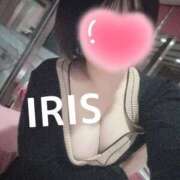 ヒメ日記 2025/06/26 19:27 投稿 イリス チューリップ福井本館