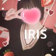 ヒメ日記 2025/06/27 00:14 投稿 イリス チューリップ福井本館