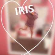 ヒメ日記 2025/06/27 08:14 投稿 イリス チューリップ福井本館