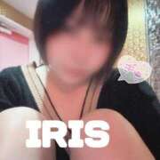 ヒメ日記 2025/06/28 12:46 投稿 イリス チューリップ福井本館