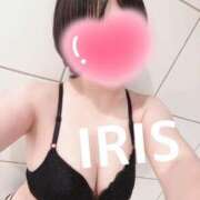 ヒメ日記 2025/06/29 13:34 投稿 イリス チューリップ福井本館