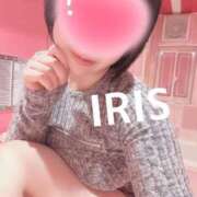 ヒメ日記 2025/06/29 14:35 投稿 イリス チューリップ福井本館