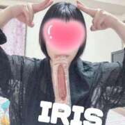 ヒメ日記 2025/06/29 23:44 投稿 イリス チューリップ福井本館