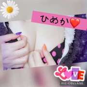 ヒメ日記 2025/08/01 11:44 投稿 ひめか チャーミーママ