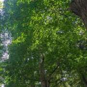 ヒメ日記 2025/08/22 13:41 投稿 あみ 吉祥寺ミセス・シンデレラ（シンデレラグループ）