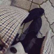 あみ 本日もありがとうございました?? 吉祥寺ミセス・シンデレラ（シンデレラグループ）