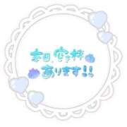 ヒメ日記 2025/03/29 16:42 投稿 ころん PRISM(都城)