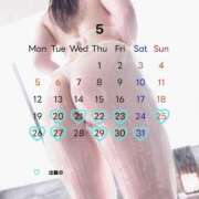 ヒメ日記 2025/05/15 21:22 投稿 たまき ごほうびSPA五反田店