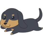 ヒメ日記 2025/03/21 21:27 投稿 あんじゅ 池袋人妻城