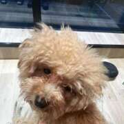 ヒメ日記 2026/01/03 19:20 投稿 えみり One More 奥様 鶯谷店