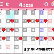 ヒメ日記 2025/04/07 15:57 投稿 みらい セグレターリオ