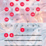 ヒメ日記 2025/08/23 13:57 投稿 みらい セグレターリオ