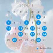 みらい １月の予定🩵💗🩵 セグレターリオ