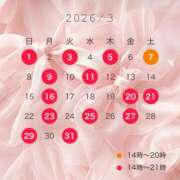 みらい ３月の予定🍒💠 セグレターリオ