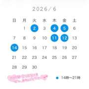 ヒメ日記 2026/05/29 17:31 投稿 みらい セグレターリオ
