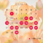 ヒメ日記 2026/06/06 12:42 投稿 みらい セグレターリオ