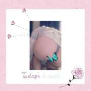 ヒメ日記 2025/03/25 10:24 投稿 こう マダム可憐