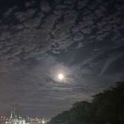 ヒメ日記 2025/11/10 02:07 投稿 れみ 横浜人妻セレブリティ（ユメオト）