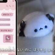 ヒメ日記 2025/06/21 19:06 投稿 ゆめ 紳士な僕はふんわり彼女の調教師