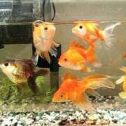 ヒメ日記 2025/04/14 19:42 投稿 瞳【ひとみ】 丸妻 西船橋店