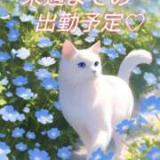 ヒメ日記 2025/05/04 22:05 投稿 瞳【ひとみ】 丸妻 西船橋店