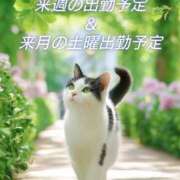 ヒメ日記 2025/05/14 10:41 投稿 瞳【ひとみ】 丸妻 西船橋店