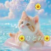 ヒメ日記 2025/07/29 14:55 投稿 瞳【ひとみ】 丸妻 西船橋店