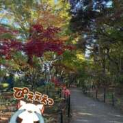 ヒメ日記 2025/11/22 20:41 投稿 瞳【ひとみ】 丸妻 西船橋店