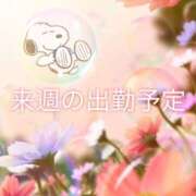 ヒメ日記 2026/01/21 21:44 投稿 瞳【ひとみ】 丸妻 西船橋店