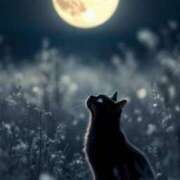 ヒメ日記 2026/01/27 12:18 投稿 瞳【ひとみ】 丸妻 西船橋店