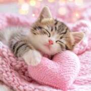 ヒメ日記 2026/02/02 08:00 投稿 瞳【ひとみ】 丸妻 西船橋店