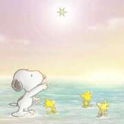 ヒメ日記 2026/03/03 20:18 投稿 瞳【ひとみ】 丸妻 西船橋店