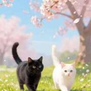 ヒメ日記 2026/04/10 09:57 投稿 瞳【ひとみ】 丸妻 西船橋店