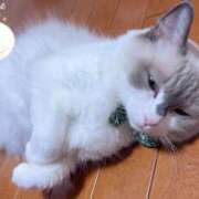 ヒメ日記 2026/04/24 20:52 投稿 瞳【ひとみ】 丸妻 西船橋店